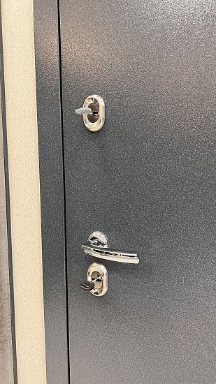 Входная дверь  